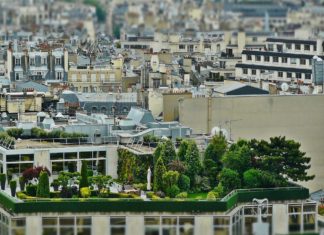 Acoperișurile verzi: Care sunt avantajele unui acoperiș ecologic