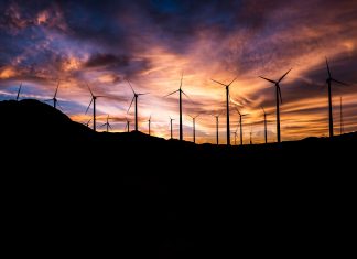 Cele mai importante realizări ecologice ale anului 2018