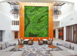 Șase beneficii esențiale ale pereților vii