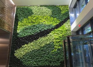 Cum prind viață clădirile cu ajutorul pereților de plante