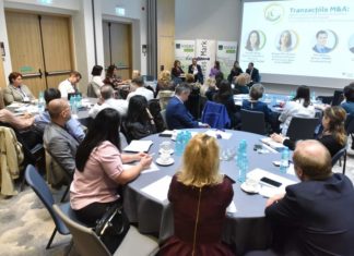 Tranzacțiile M&A, o perspectivă juridică și fiscală